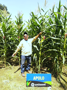 Álvaro Castellanos Palma