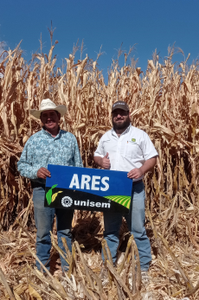 Andrés Valles del Campo