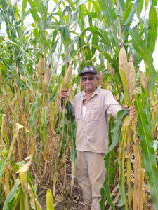 José Luis Cortez Molina