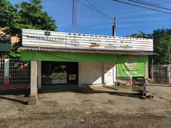 Agroinsumos Teocintle 