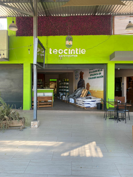 Agroinsumos Teocintle 