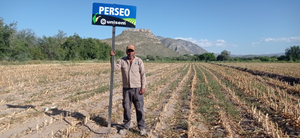 José Sifuentes Rico