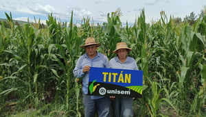 Gerardo Álvarez Campos