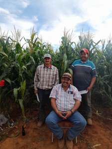 Manuel Raygoza Hernández