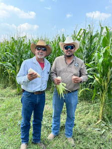 Andrés Pérez Sáinez