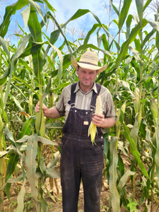 Jacobo Doerksen Wibe