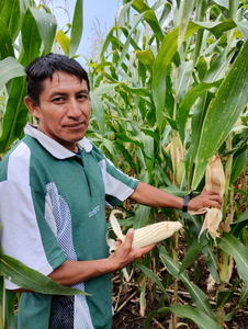 Pablo Cruz Hernández