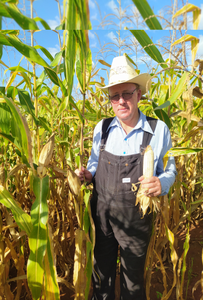 Jacobo Wall Guenther