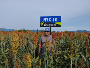 Florentino Rojo Arellano
