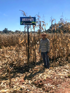 Santiago Aceves Orozco