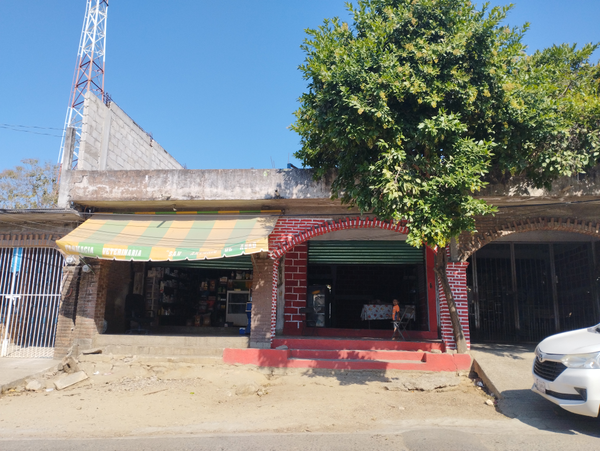 Farmacia Veterinaria 