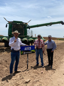 Socorro Urquiza Beltran