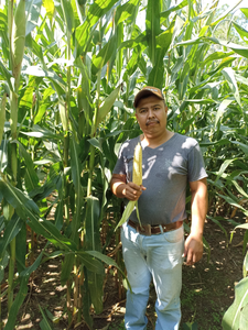 Gerardo Macías Gómez