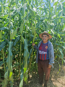Bernardo Vázquez Cantoral