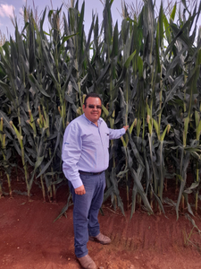 Alberto Javier Ávila Medina