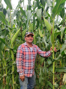 Lorenzo Corona Romero