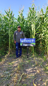 Pascual Ursúa Meléndez