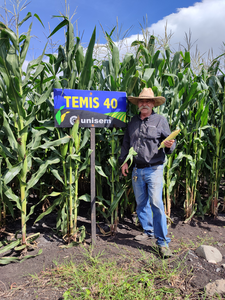 Federico Flores Sánchez