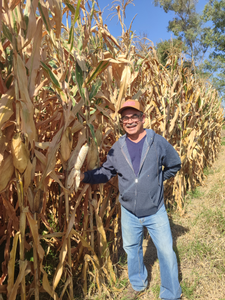 Humberto Frayle Bautista