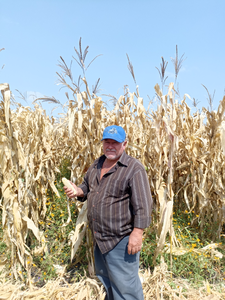 Filemón González Rodríguez