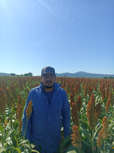 Armando Torres Bravo