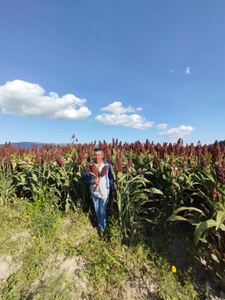 Miguel Martínez Beristain