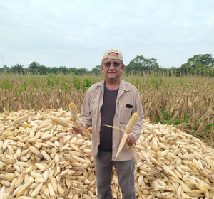 José Luis Cortez Molina