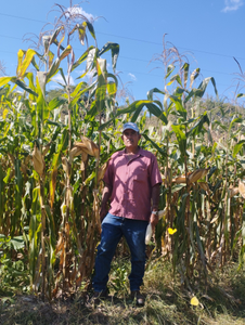 Tulio Rodríguez Castrejón