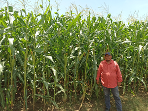 Nolberto Vázquez Lázaro