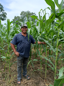 Hirohito Yoshizaki Hipólito