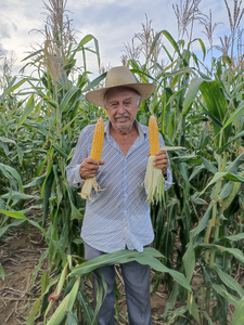 Joel Sánchez Zavaleta