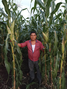 Roberto Cervantes Hernández