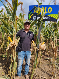 Higinio Nava Bibiano