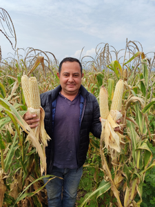 Efraín Velázquez Jasso