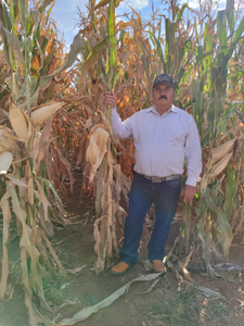 José Asunción Contreras de la Cerda