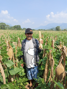 Feliciano Toala Albores