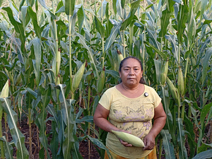 Nelia del Socorro Huchim Mas