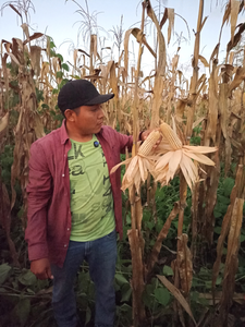 Santos Nehemías Ku Uc