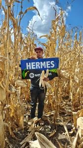 José Luis Carrillo Ramos