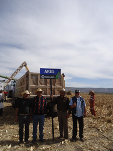 Martín Carrillo Torres