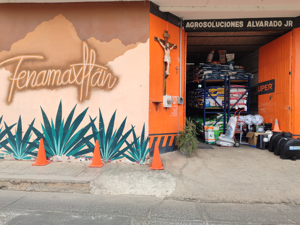 Agrosoluciones Alvarado Jr.