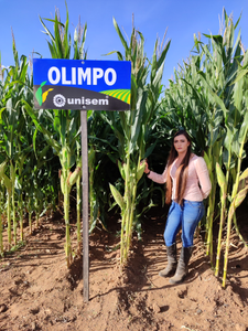 Cinthia Martínez Vega