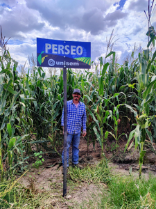 Agustín Márquez Gómez