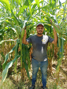 Darinel Méndez Vázquez