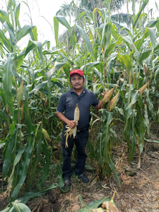 Alfredo Gutiérrez Arias