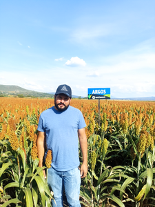 Nicolás Solorio Morillón