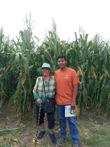 María de la Luz Narvaez