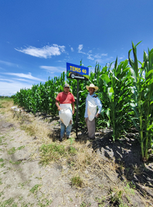 Efraín Gómez Villán