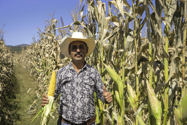 Testimonio Marco Antonio Alvarado Melo