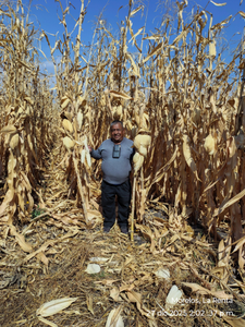 Clemente Pala Rodríguez